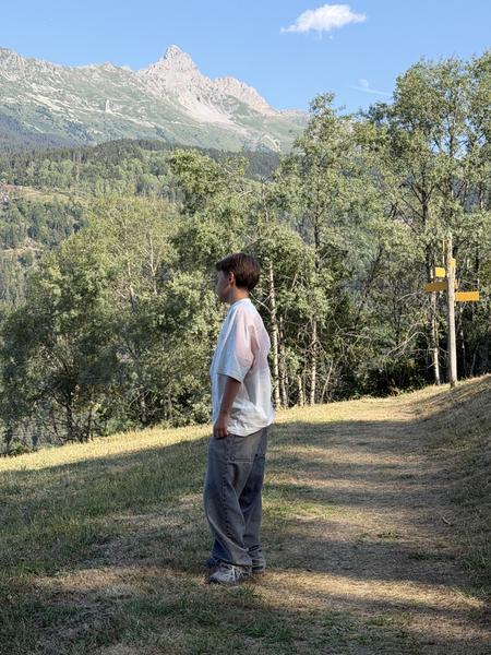 A person stands on a grassy path, gazing towards majestic mountains under a clear blue sky at Chemin des Pommettes, Les Allues